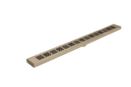 LW W55 BRUSH GOLD